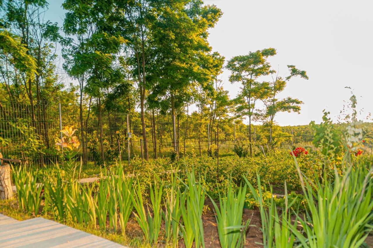 Pensiunea Agroturistica Valentino Costinesti Ngoại thất bức ảnh
